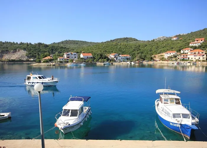 Double 8144b 3* Zaglav